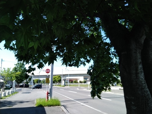 P_20200530_151504.jpg