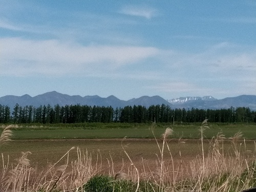 P_20200603_080815_1.jpg