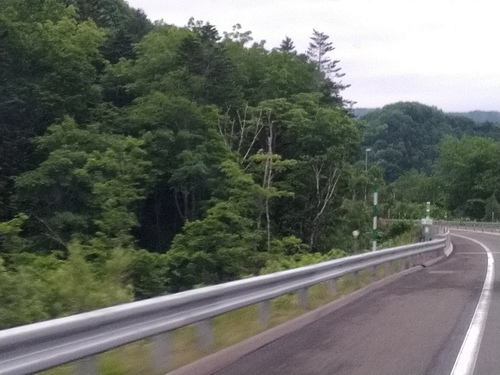 P_20200622_061036.jpg
