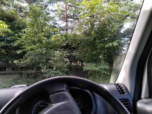 P_20200907_072550.jpg