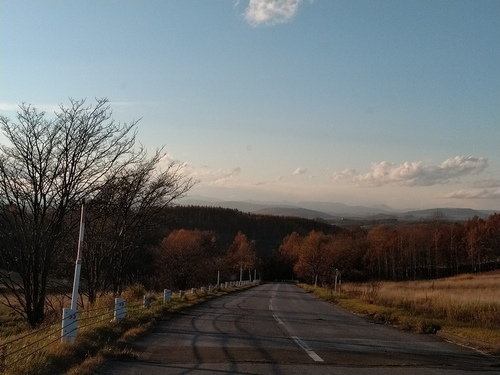 P_20201103_152557.jpg