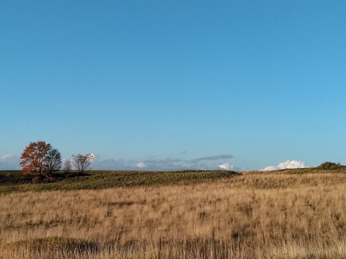 P_20201103_152623.jpg