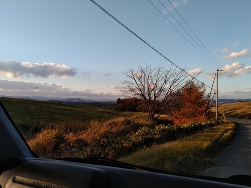 P_20201105_152030.jpg