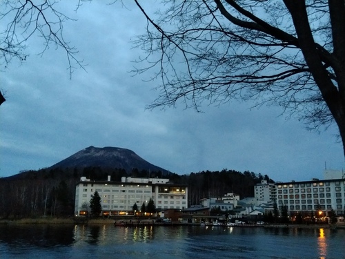 P_20201115_161135.jpg