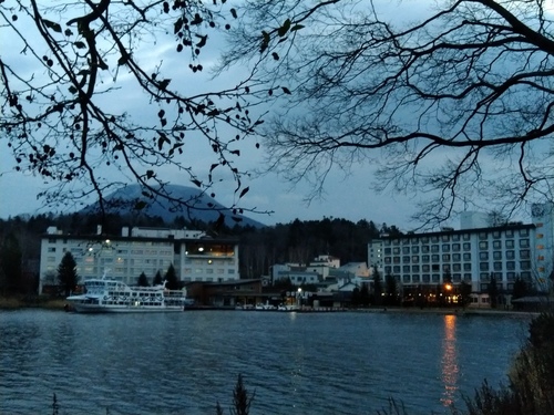 P_20201116_060707.jpg