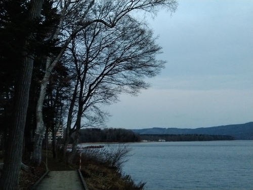 P_20201116_061048.jpg
