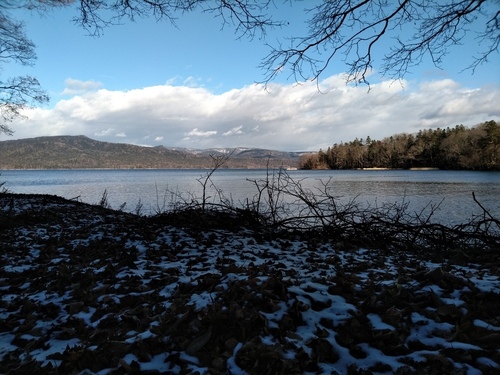 P_20201126_094500.jpg