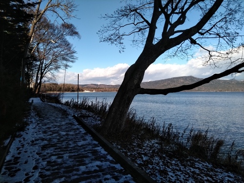 P_20201126_094527.jpg