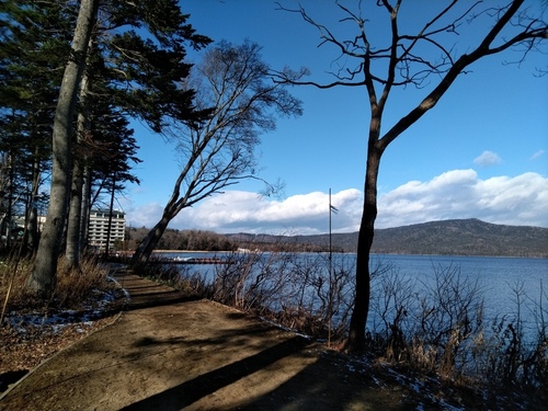 P_20201126_094928.jpg