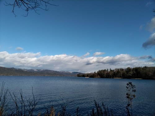 P_20201126_094938.jpg