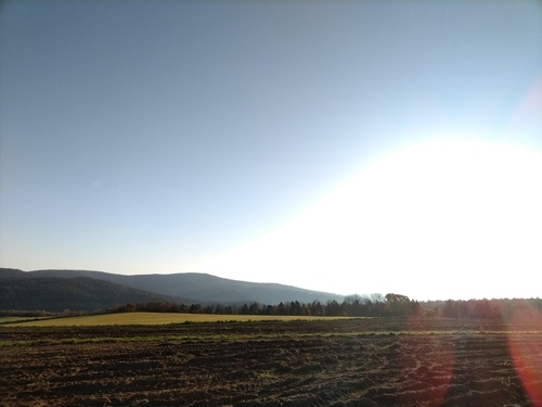 P_20211010_063428.jpg