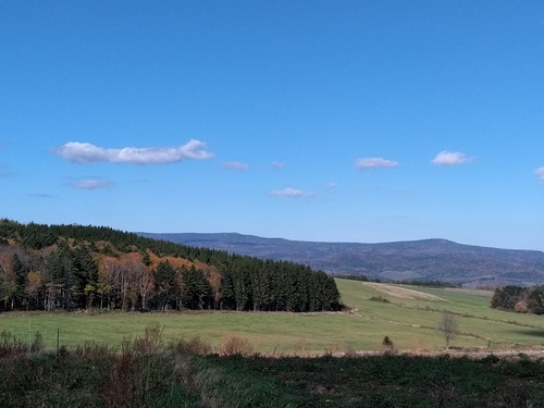 P_20211013_093642.jpg