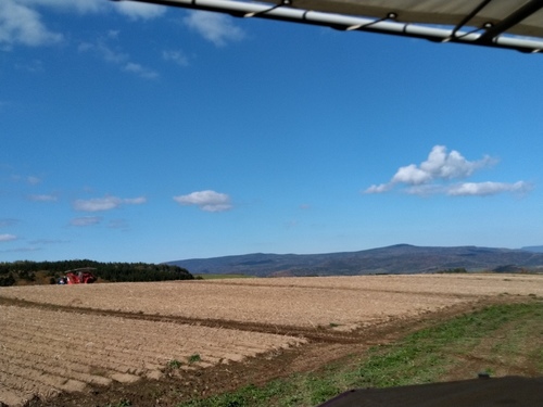 P_20211013_095900.jpg