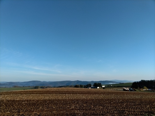 P_20211014_064145.jpg