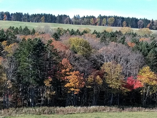 P_20211014_083135.jpg