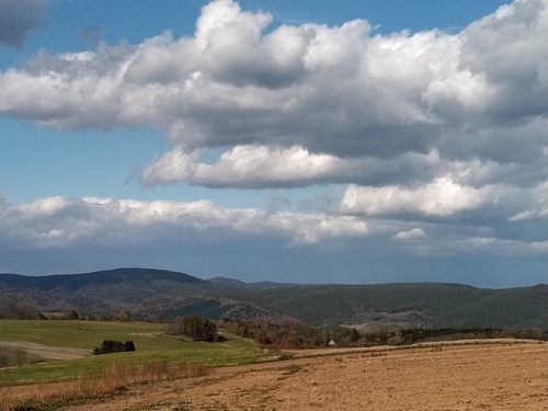P_20211015_124651.jpg
