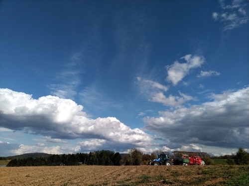 P_20211015_124713.jpg