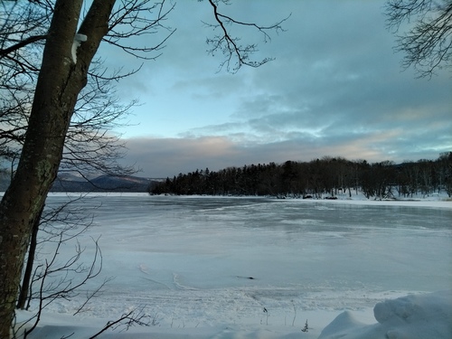 P_20230106_072154.jpg