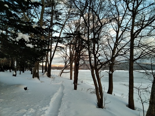 P_20230106_072159.jpg