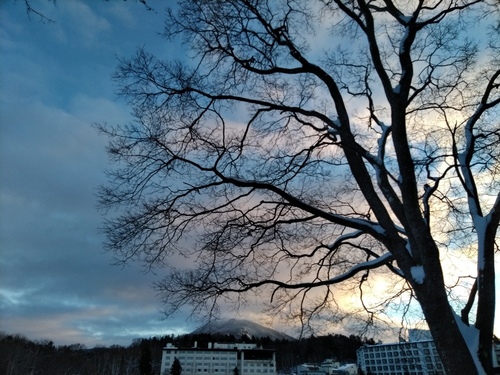 P_20230106_072205.jpg