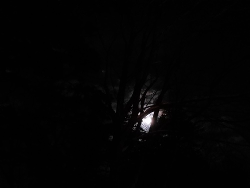 P_20230106_171341.jpg