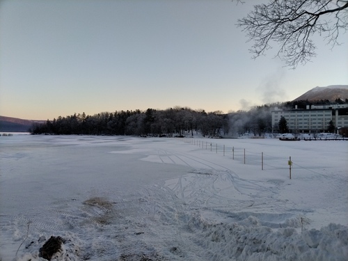 P_20230113_071755.jpg