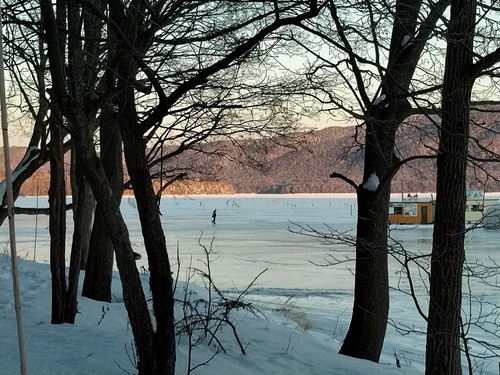 P_20230113_071808.jpg