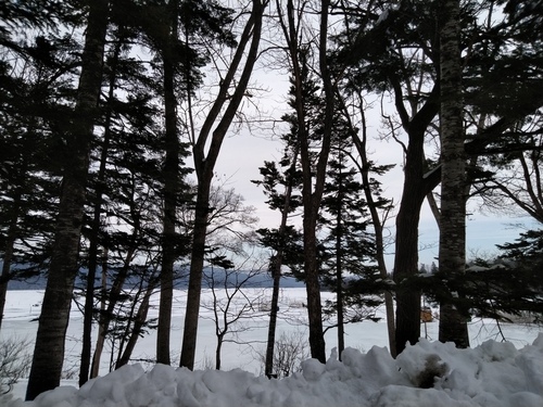 P_20230113_112417.jpg