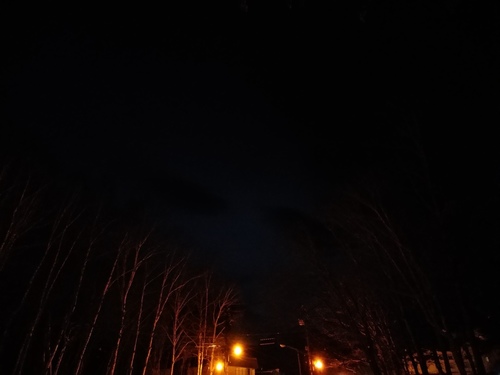 P_20230113_170306.jpg