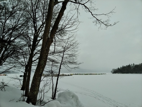 P_20230115_071814.jpg