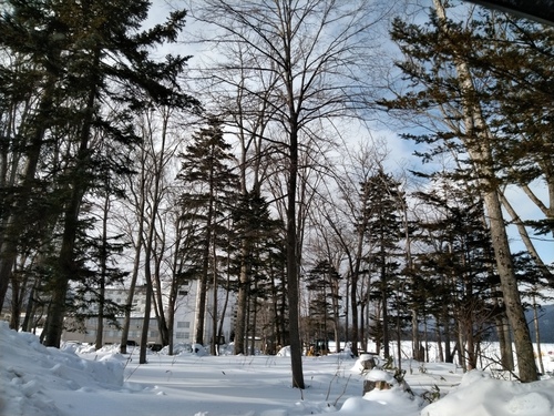 P_20230115_120224.jpg