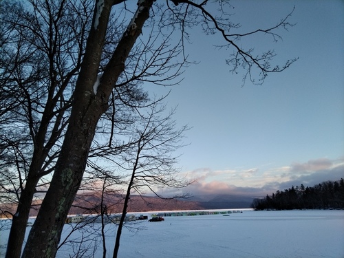 P_20230119_071524.jpg