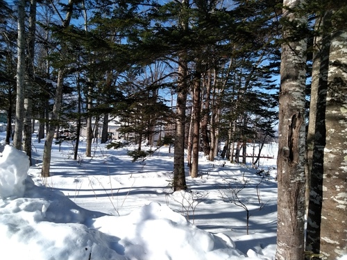P_20230119_110027.jpg