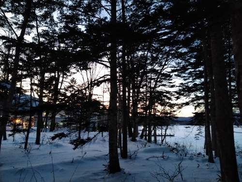 P_20230119_164110.jpg