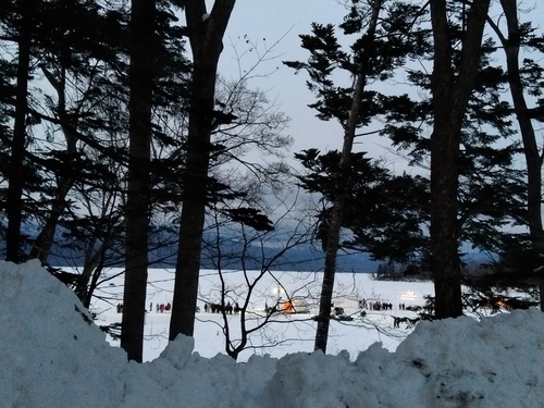 P_20230120_163614.jpg
