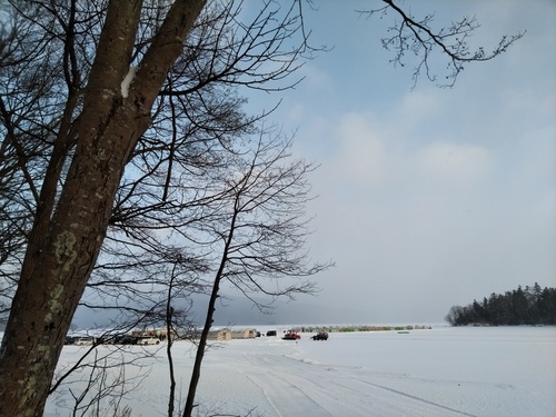 P_20230121_074757.jpg