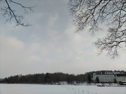 P_20230121_074803.jpg