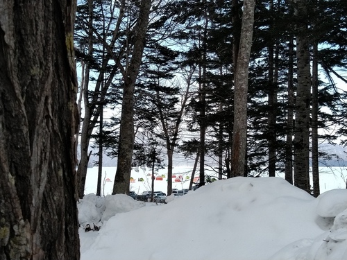 P_20230121_124234.jpg
