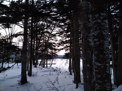 P_20230121_163904.jpg