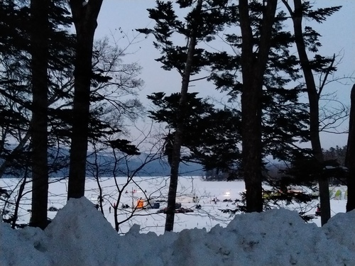 P_20230121_163919.jpg
