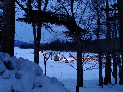 P_20230123_164258.jpg