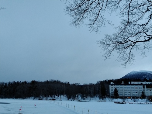 P_20230129_064326.jpg