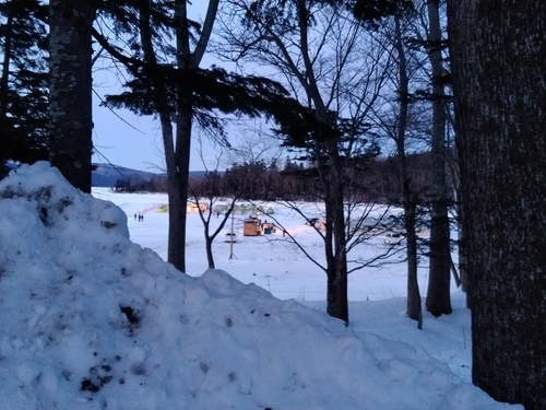 P_20230129_164729.jpg