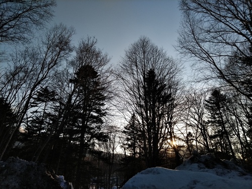 P_20230318_164325.jpg
