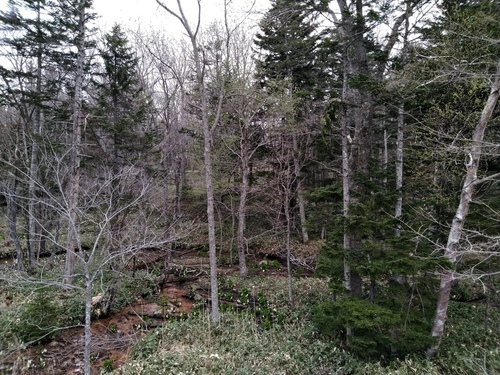 P_20230508_084506.jpg