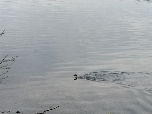 P_20230510_071643.jpg