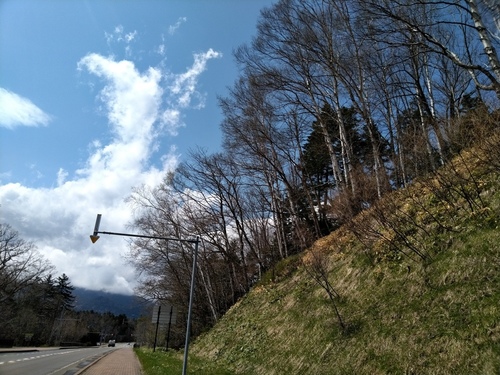 P_20230510_120615.jpg