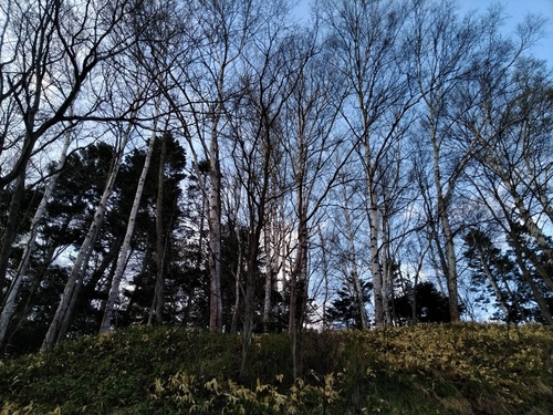 P_20230512_170317.jpg
