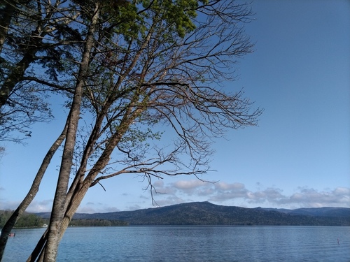 P_20230520_071754.jpg