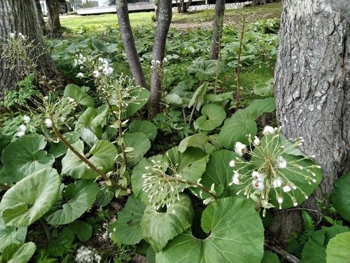 P_20230523_071407.jpg